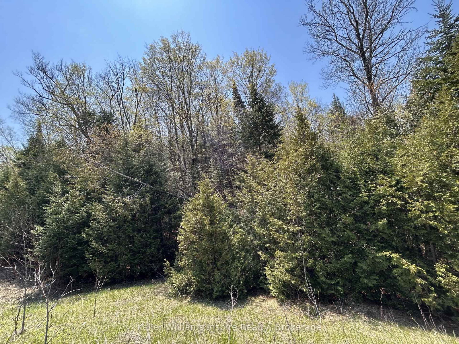0 Highway 118 • Bancroft, ON photo 5