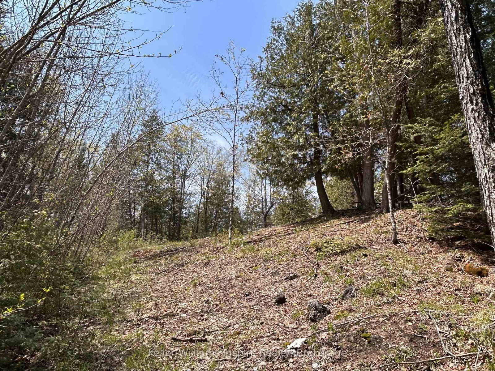 0 Highway 118 • Bancroft, ON photo 8