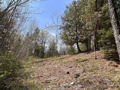 0 Highway 118 • Bancroft, ON photo 8