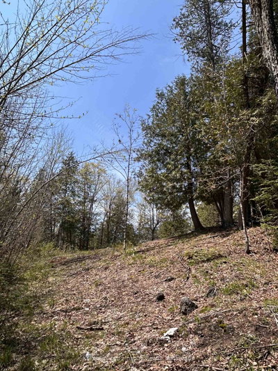 0 Highway 118 • Bancroft, ON photo 9