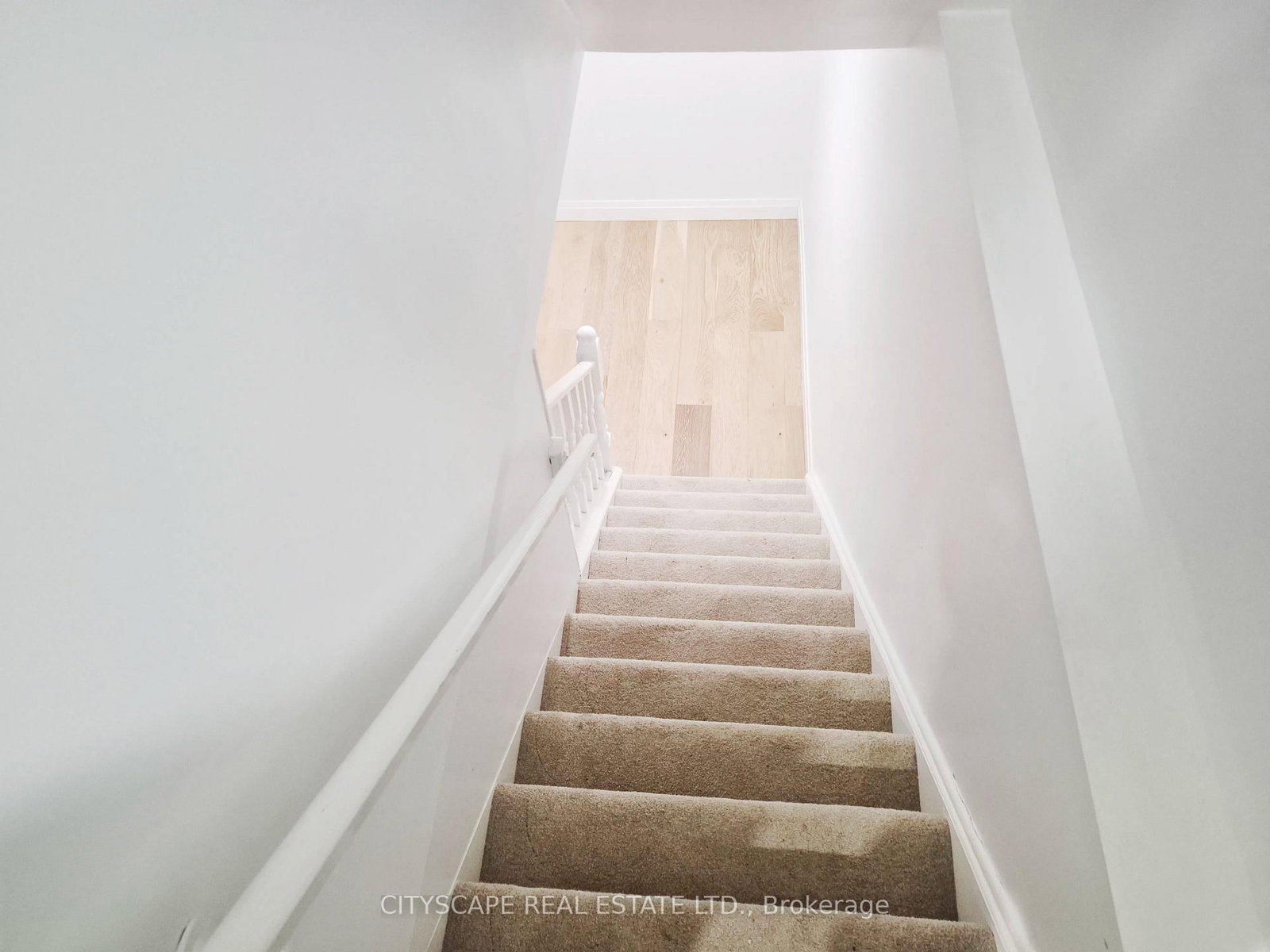 11 Ashely Court • Kitchener, ON photo 24
