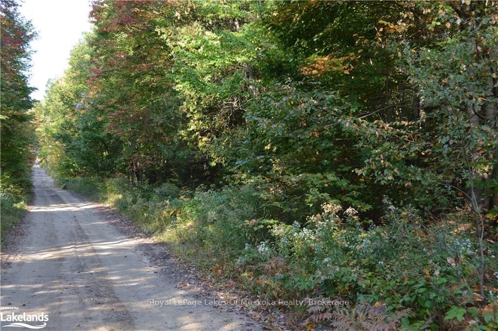 LOT 20 CONCESSION 5 Road • Huntsville, ON photo 1