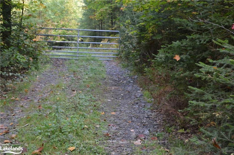 LOT 20 CONCESSION 5 Road