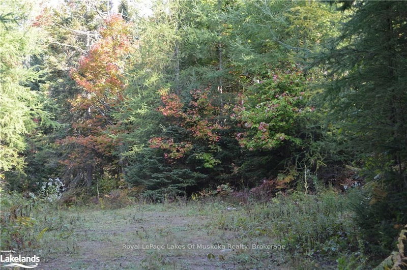 LOT 20 CONCESSION 5 Road