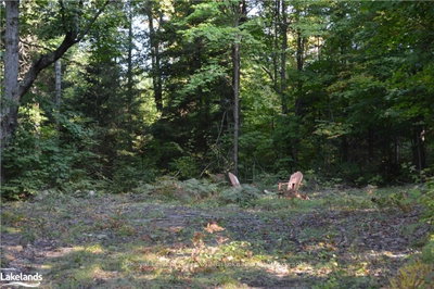 LOT 20 CONCESSION 5 Road • Huntsville, ON photo 6