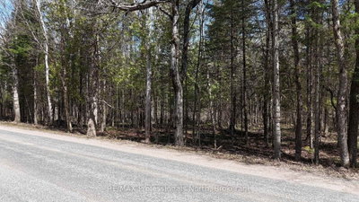 TBD Glamor Lake Road — photo 2