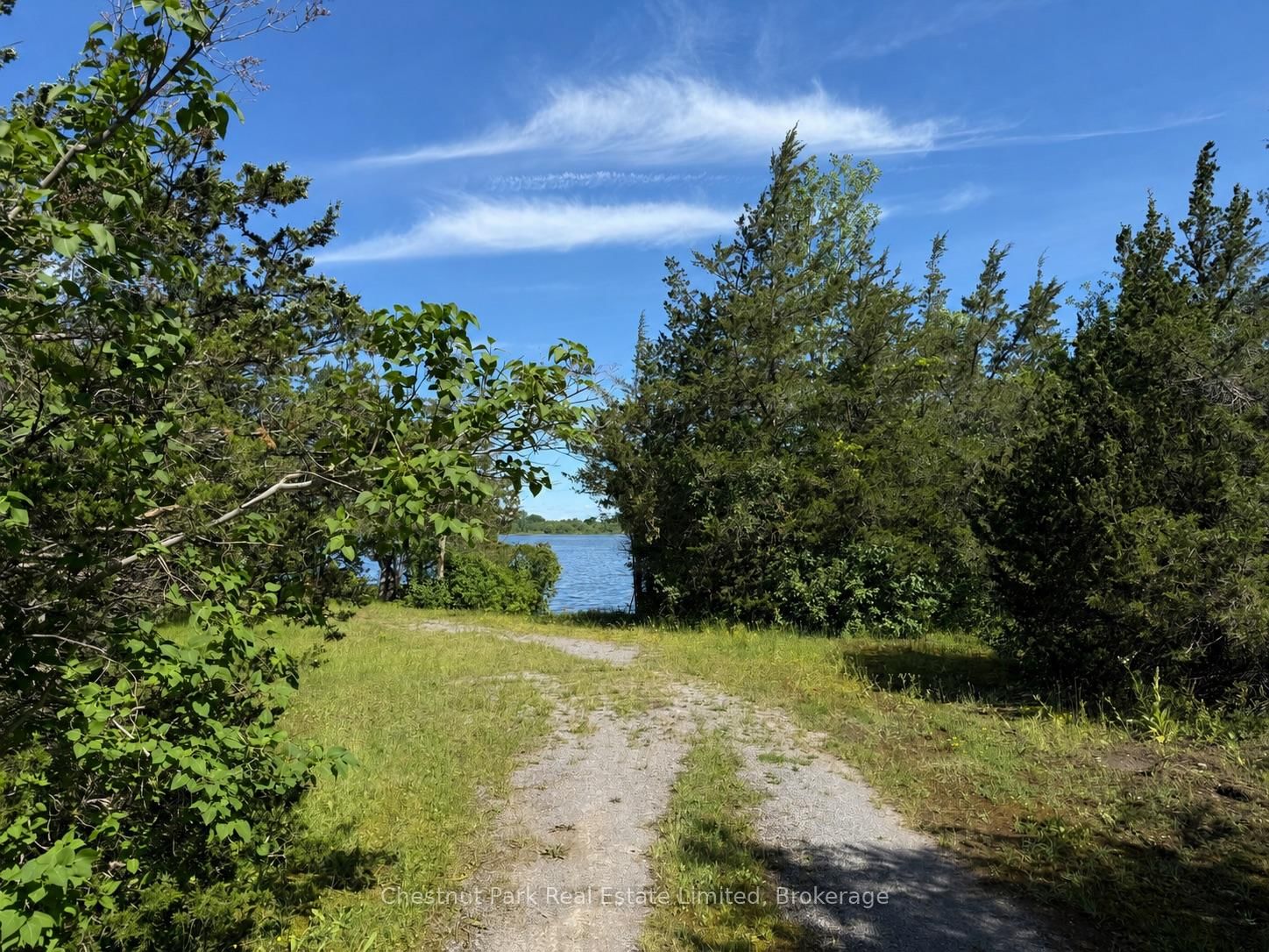 Next To 2451 County Road 15 • Prince Edward County, ON photo 14
