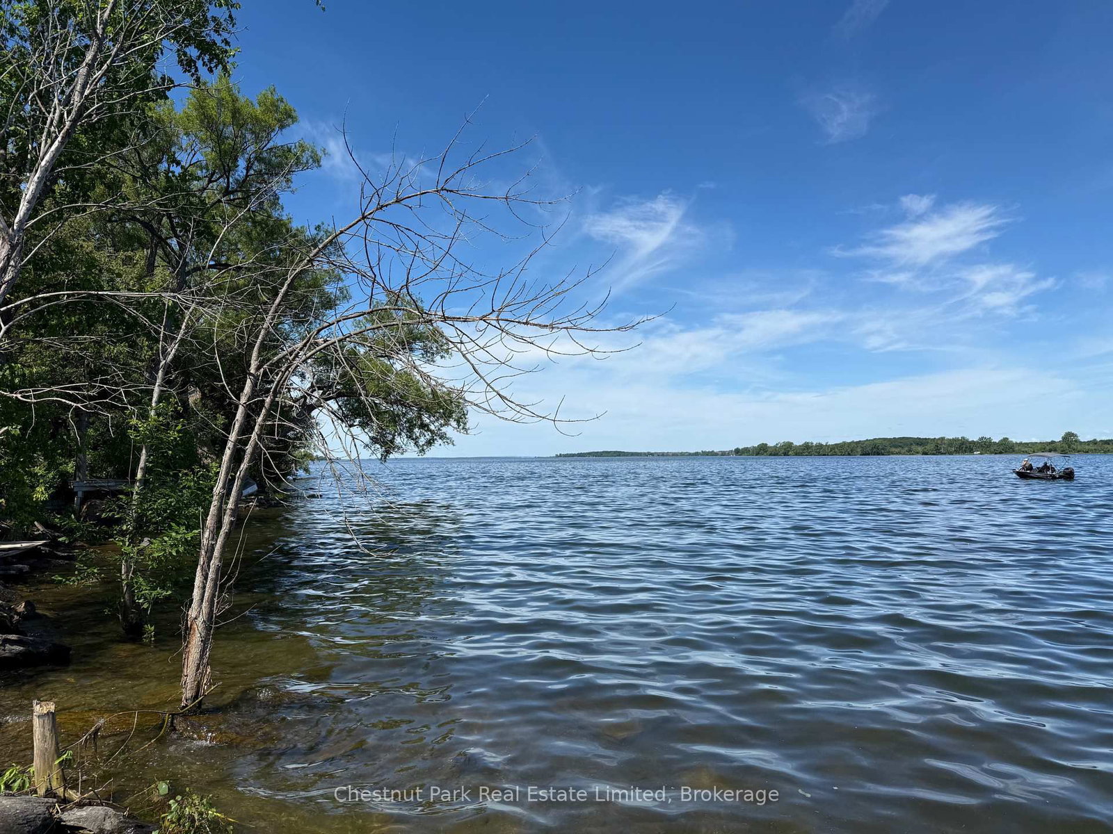 Next To 2451 County Road 15 • Prince Edward County, ON photo 18