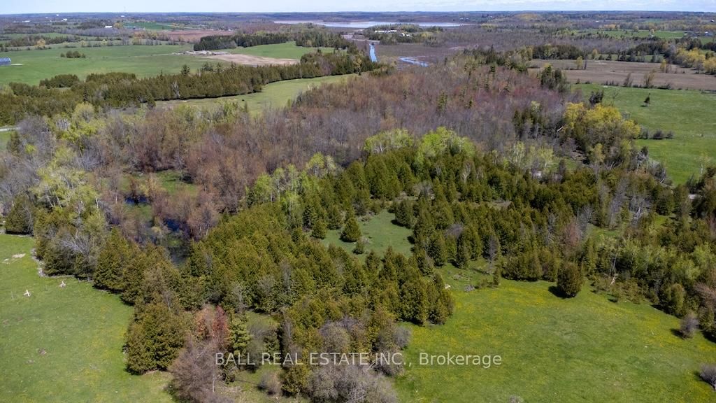 4131 County Rd 32 • Douro-Dummer, ON photo 41