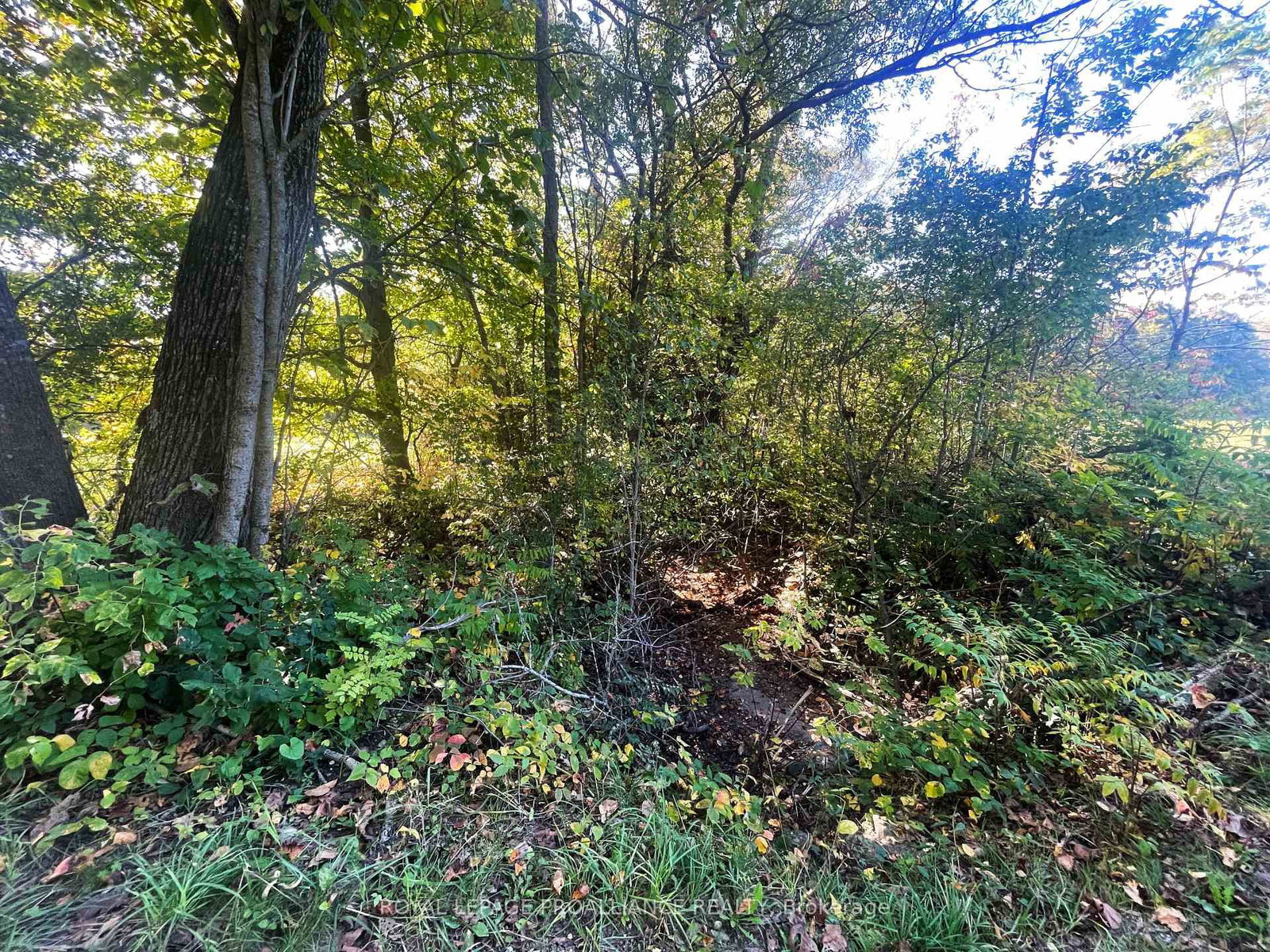 00 N Jamieson Road • #Lot C • Port Hope, ON photo 5