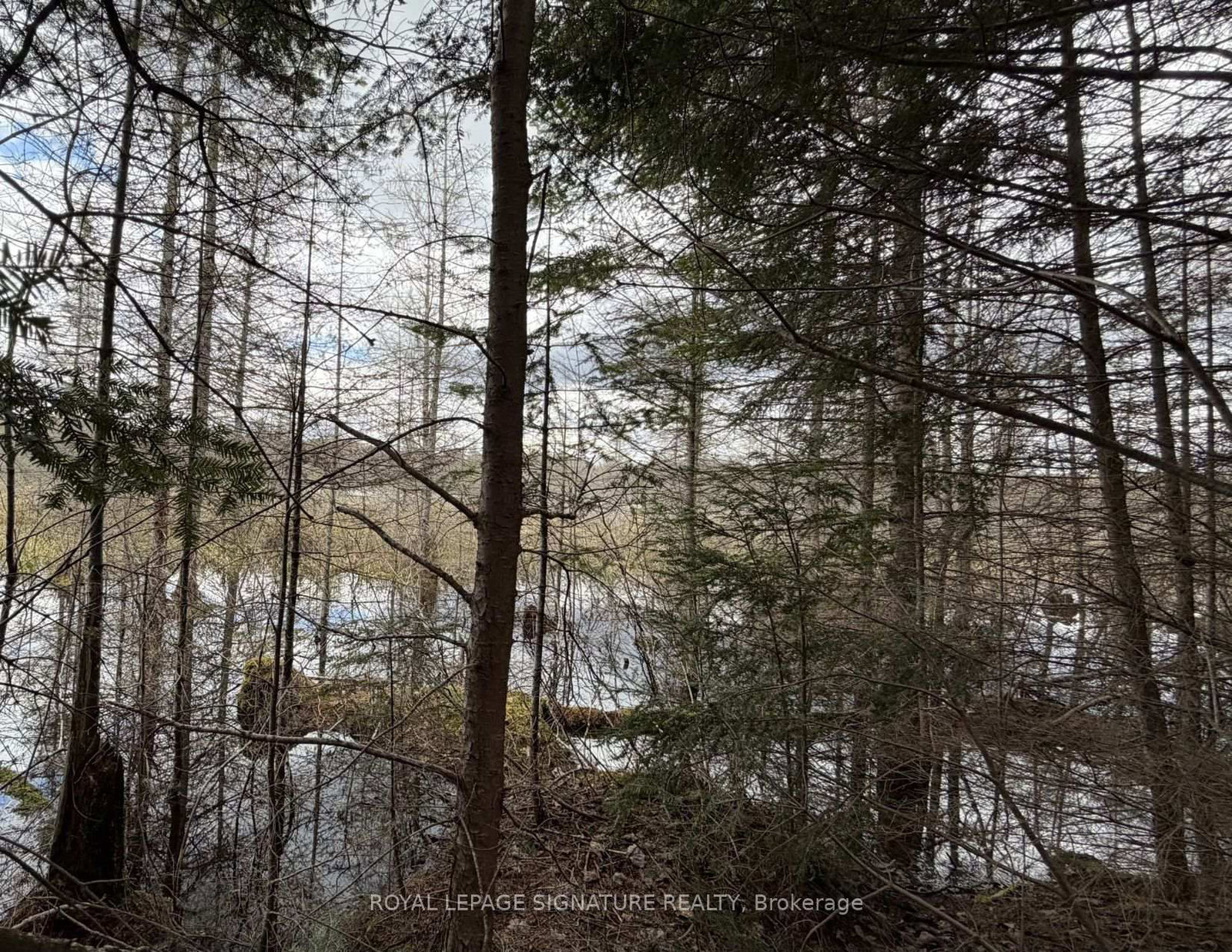 1170 Peter Road • Bracebridge, ON photo 17