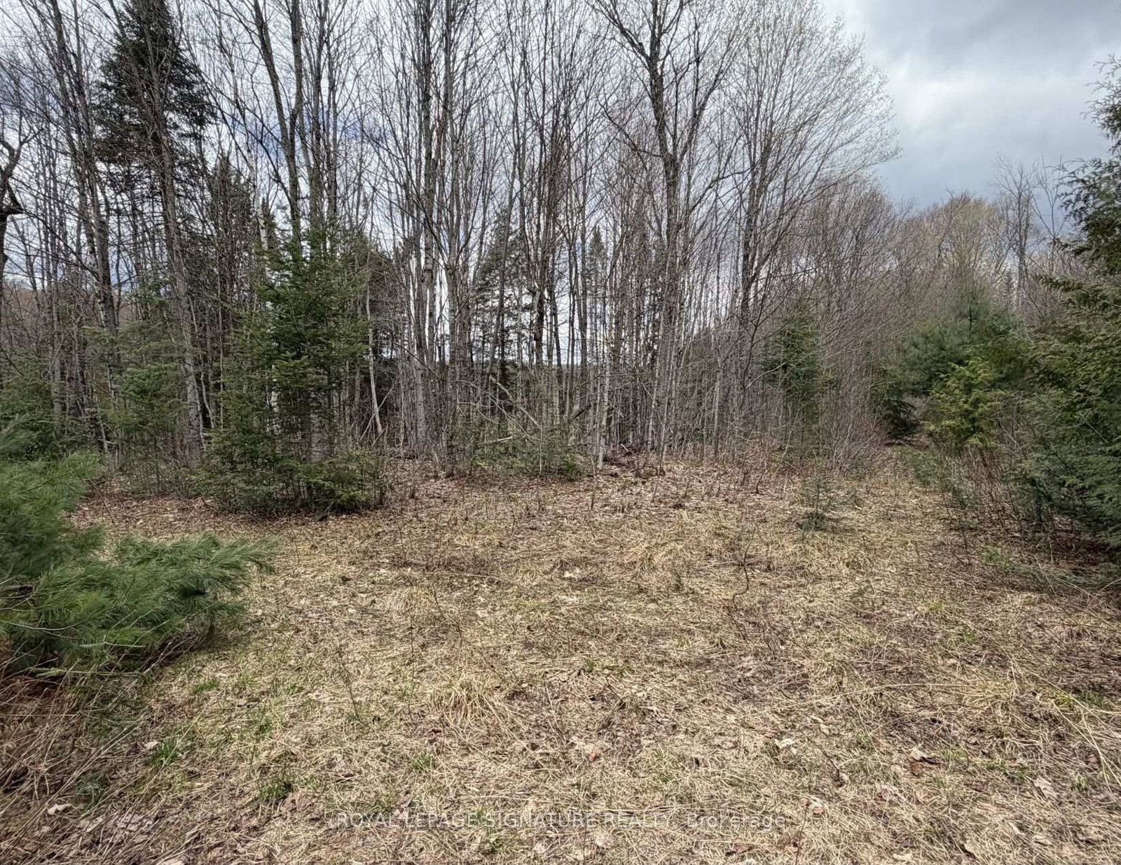 1170 Peter Road • Bracebridge, ON photo 24