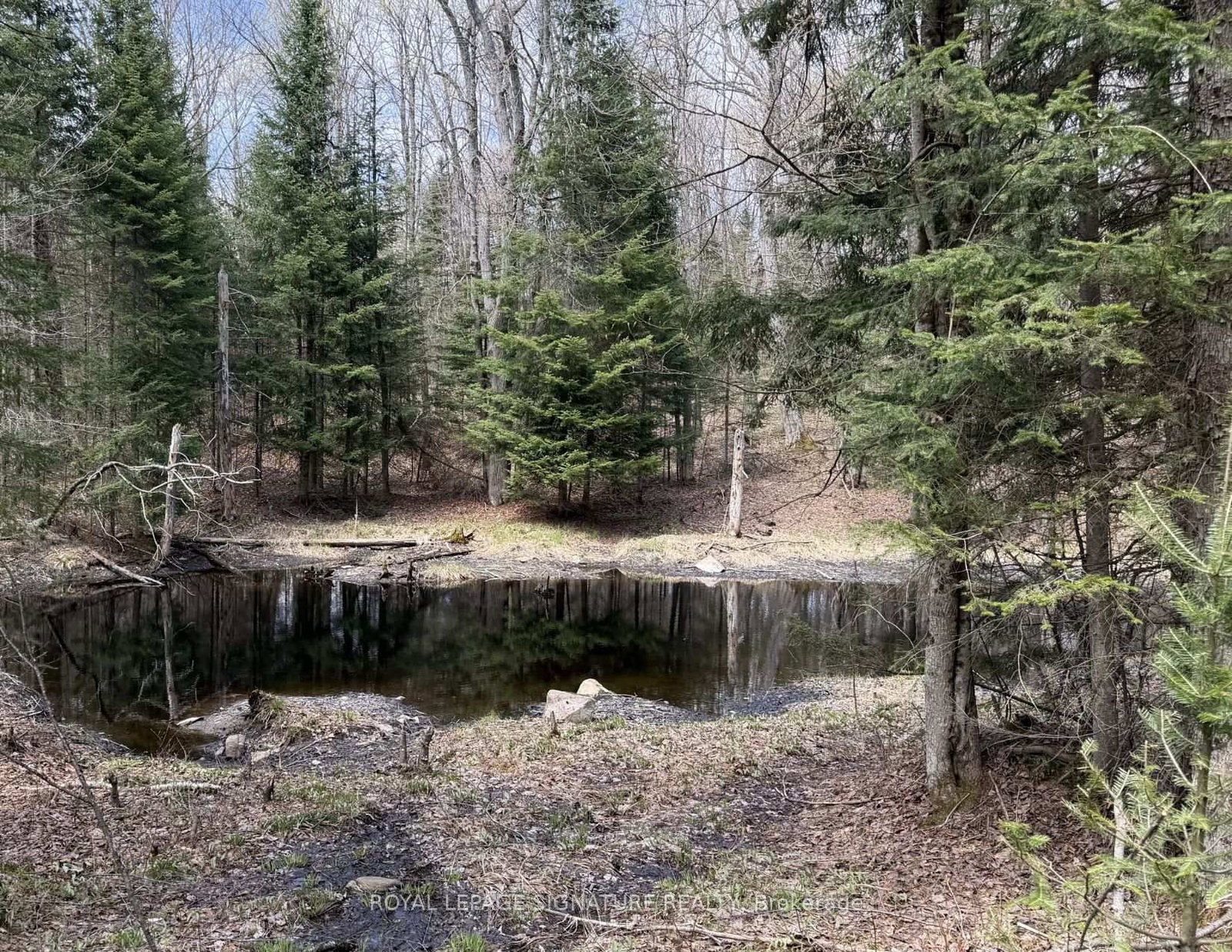 1170 Peter Road • Bracebridge, ON photo 5