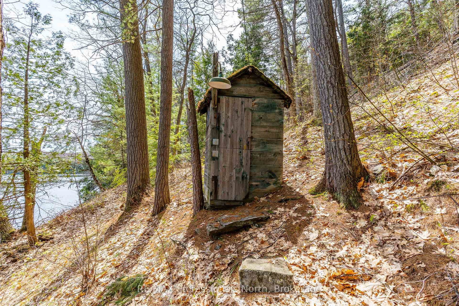 10145 Little Hawk West Sho • Algonquin Highlands, ON photo 42