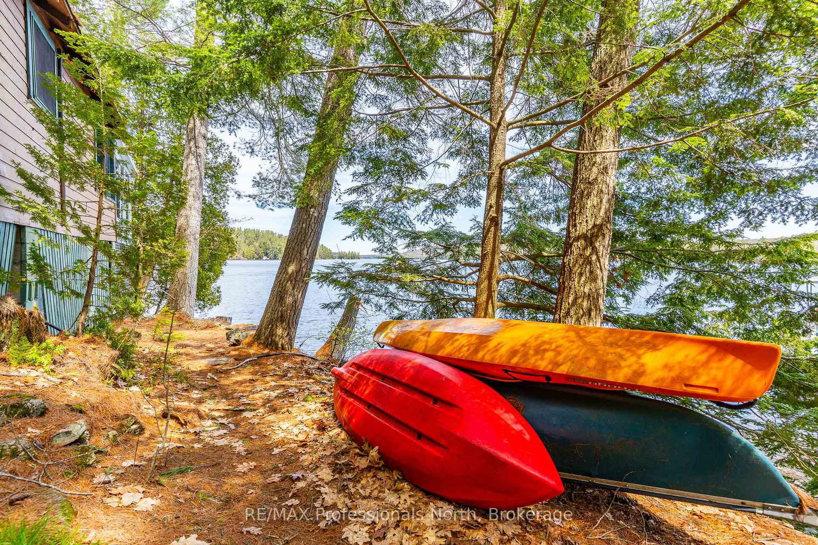 10145 Little Hawk West Sho • Algonquin Highlands, ON photo 43