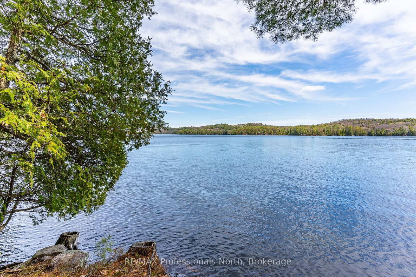 10145 Little Hawk West Sho • Algonquin Highlands, ON photo 45