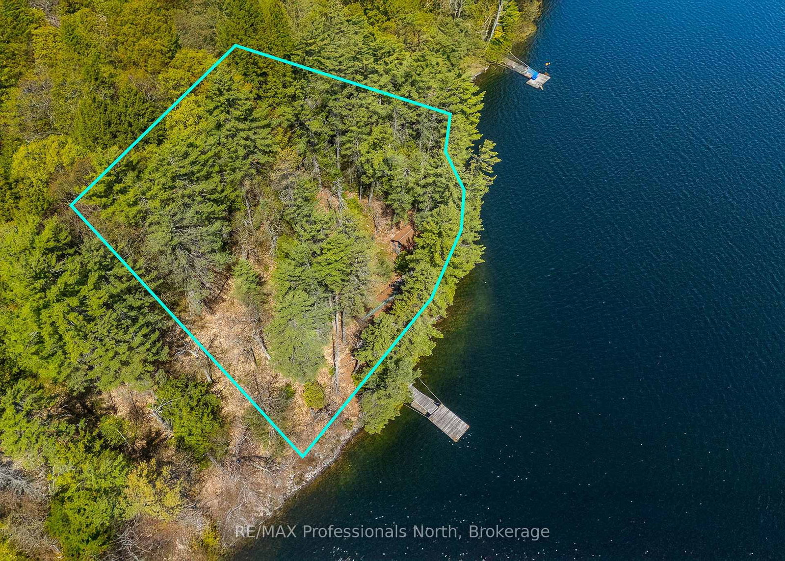 10145 Little Hawk West Sho • Algonquin Highlands, ON photo 47