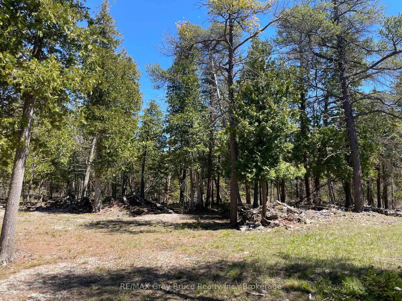 1035 DORCAS BAY Road • Northern Bruce Peninsula, ON photo 8