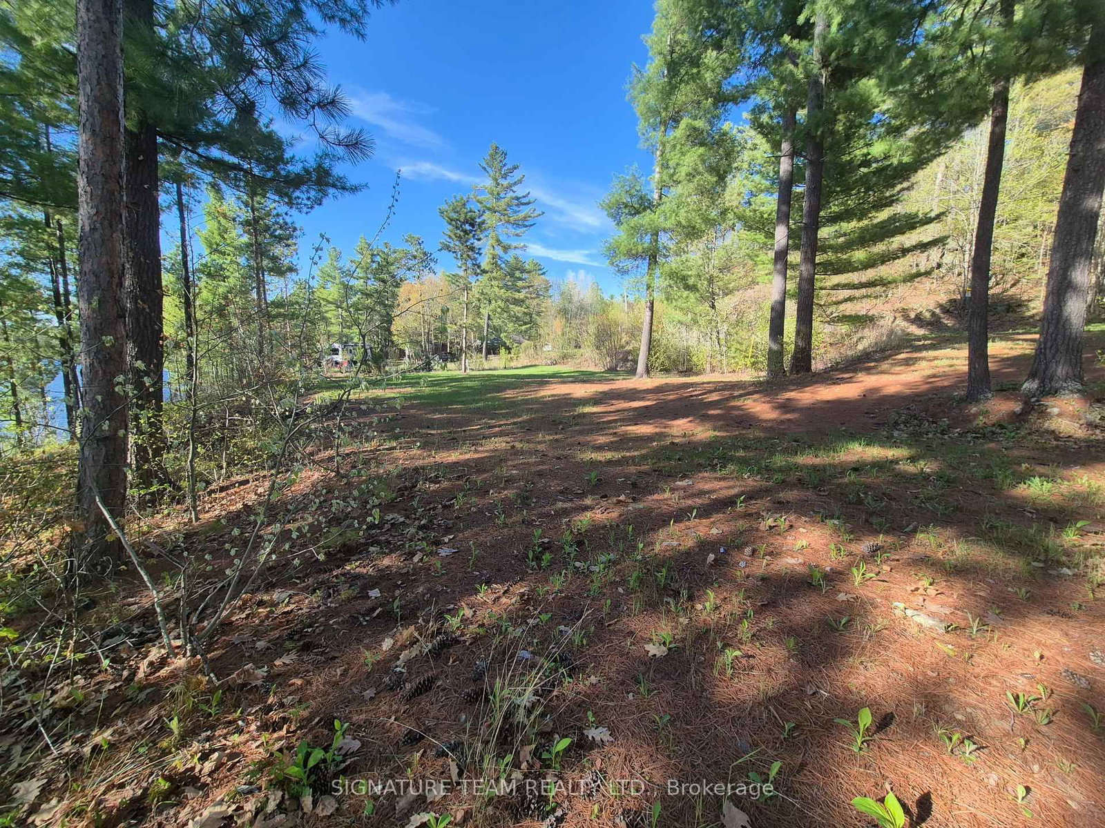 0 Red Rock Road • Killaloe, ON photo 15