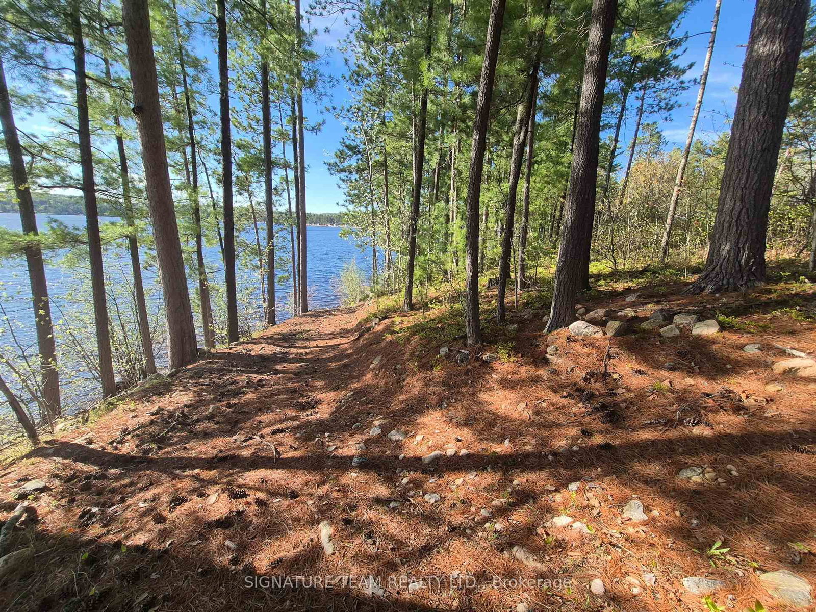 0 Red Rock Road • Killaloe, ON photo 16