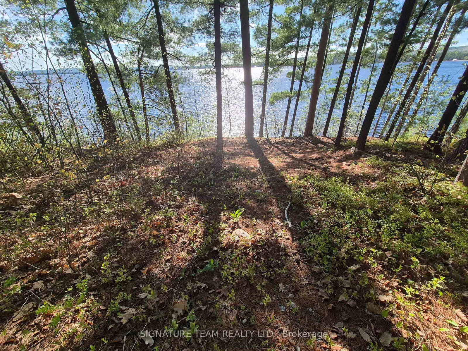 0 Red Rock Road • Killaloe, ON photo 17