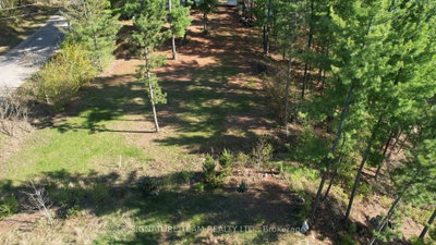 0 Red Rock Road • Killaloe, ON photo 5