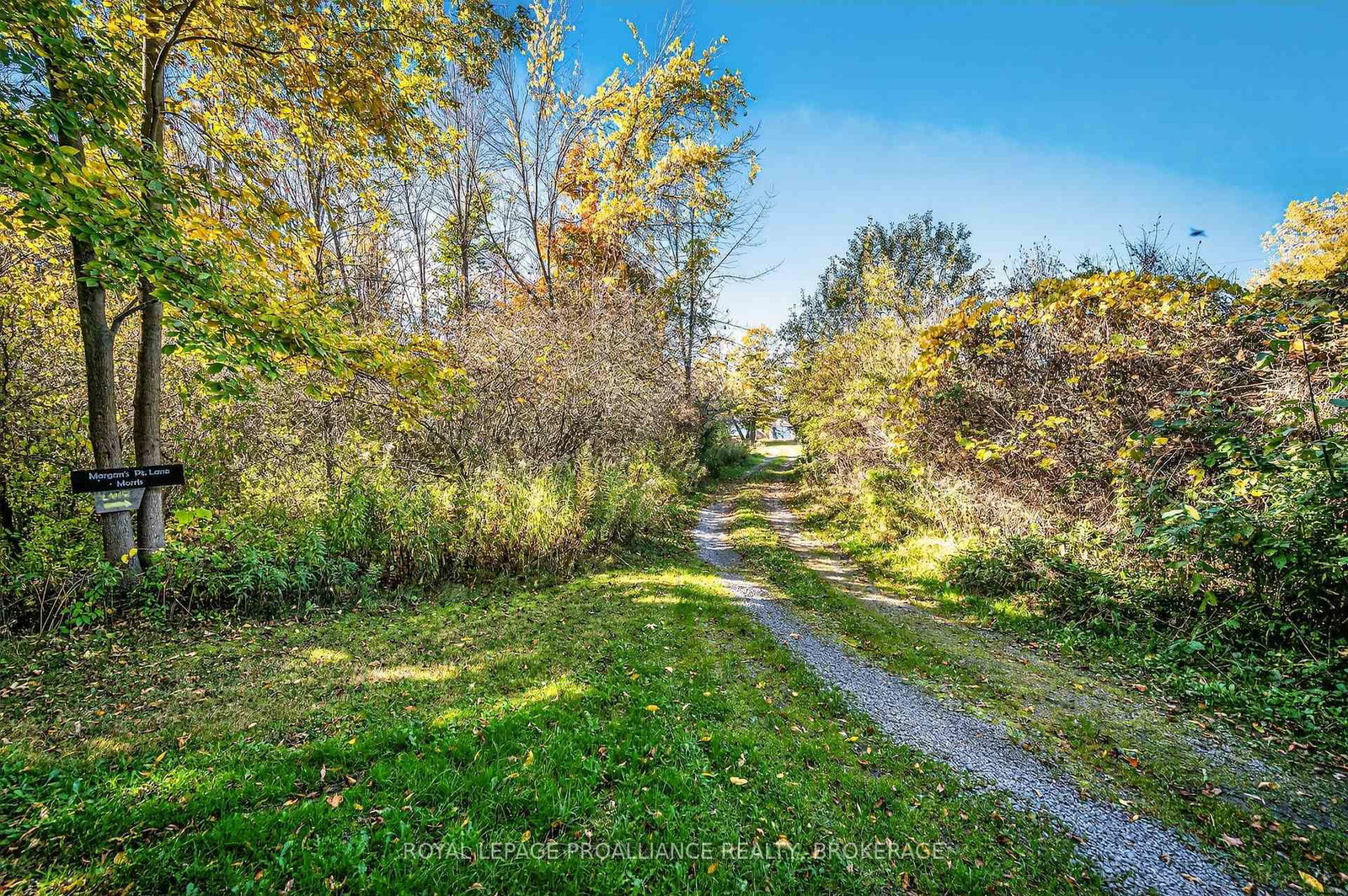 14B Morgan's Point Lane • Wolfe Island, ON photo 27