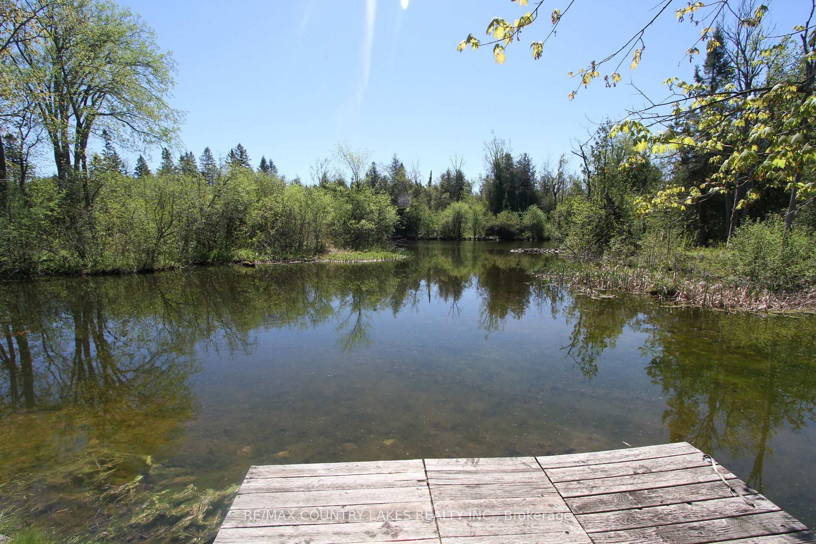 77 McGuire Beach Road • Kawartha Lakes, ON photo 37