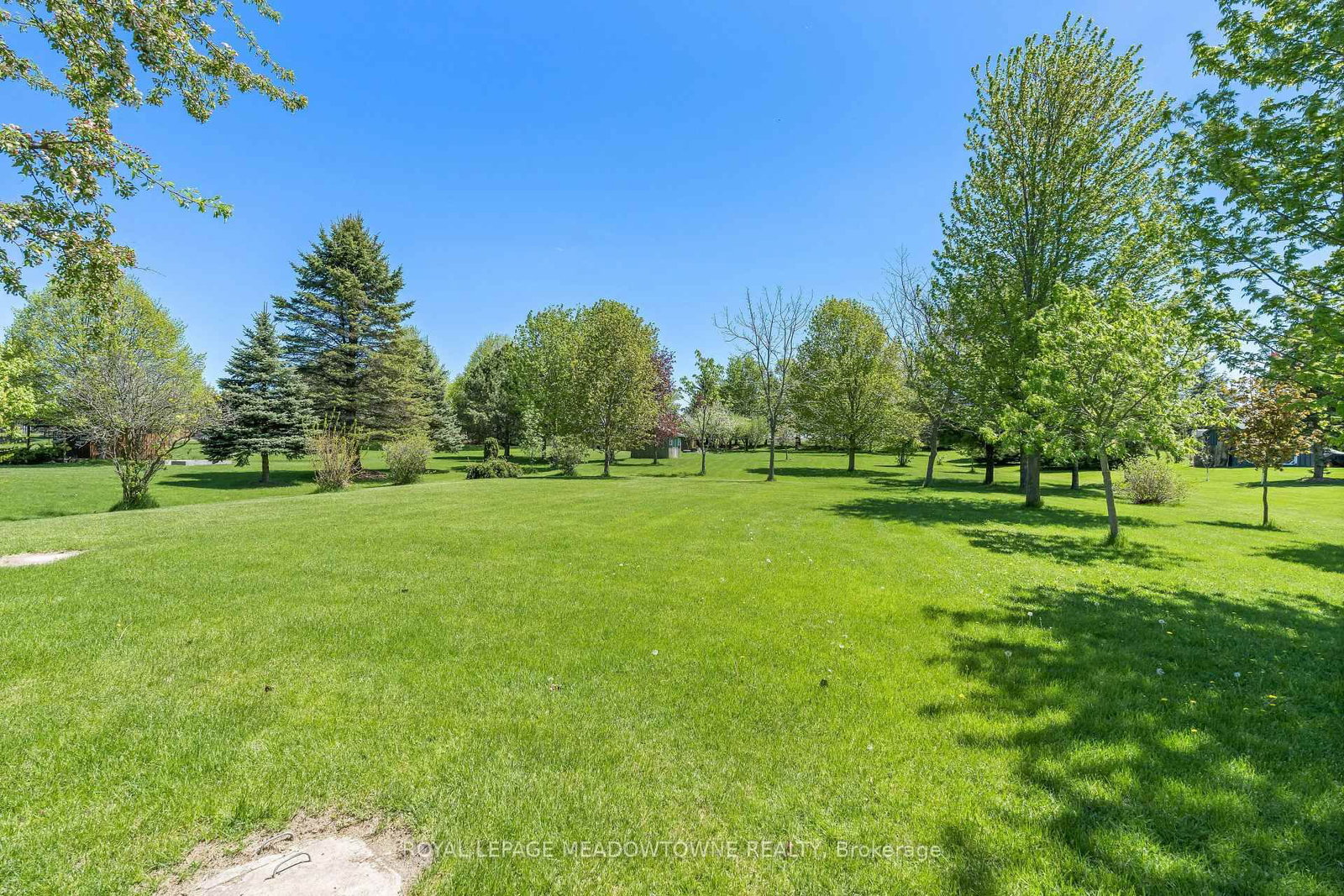 19 Mccullogh Drive • Erin, ON photo 38