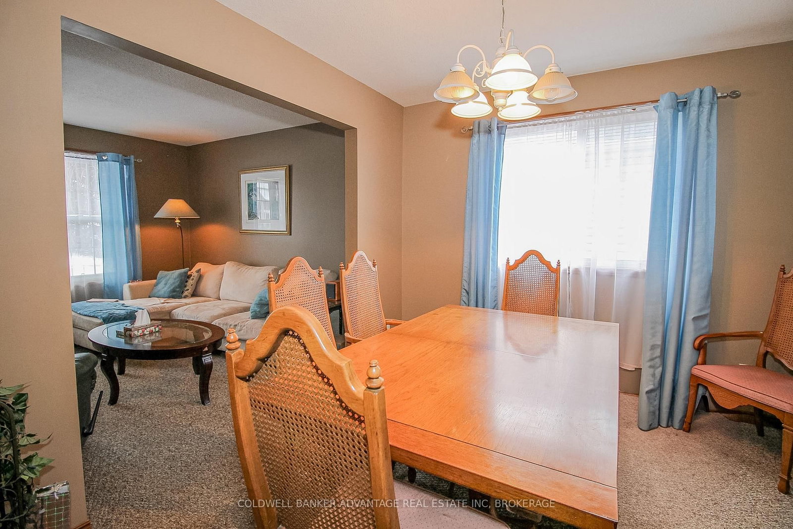 19 Windle Village Crescent • Thorold, ON photo 8