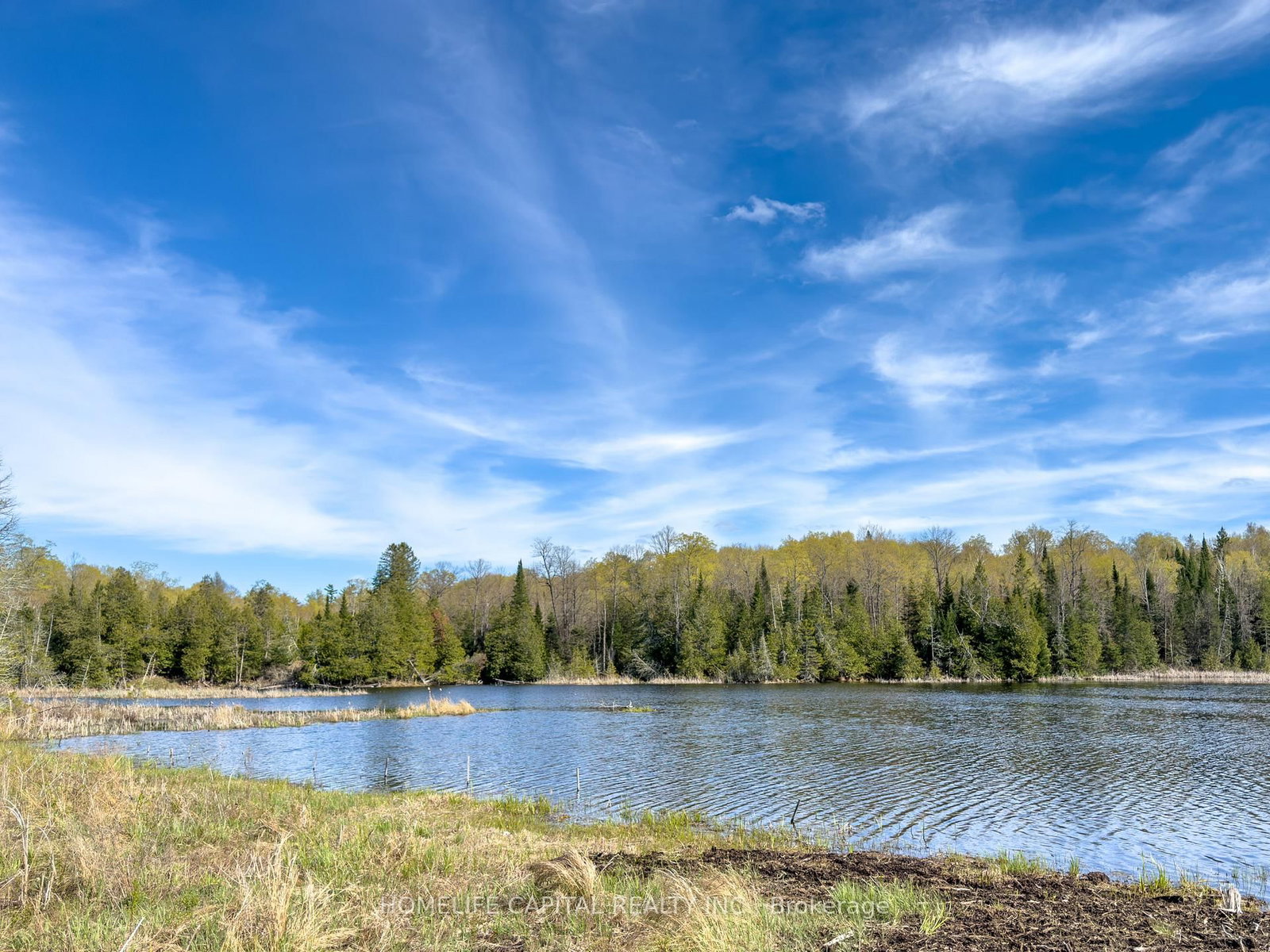211 Lacourse Lane • White Lake, ON photo 16