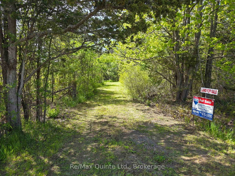 Across From 3904 Cty Rd 49