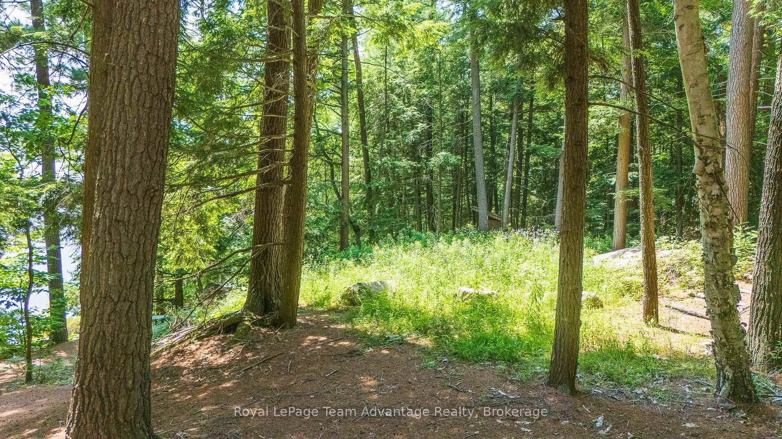 81 Amorak Trail • Whitestone, ON photo 11