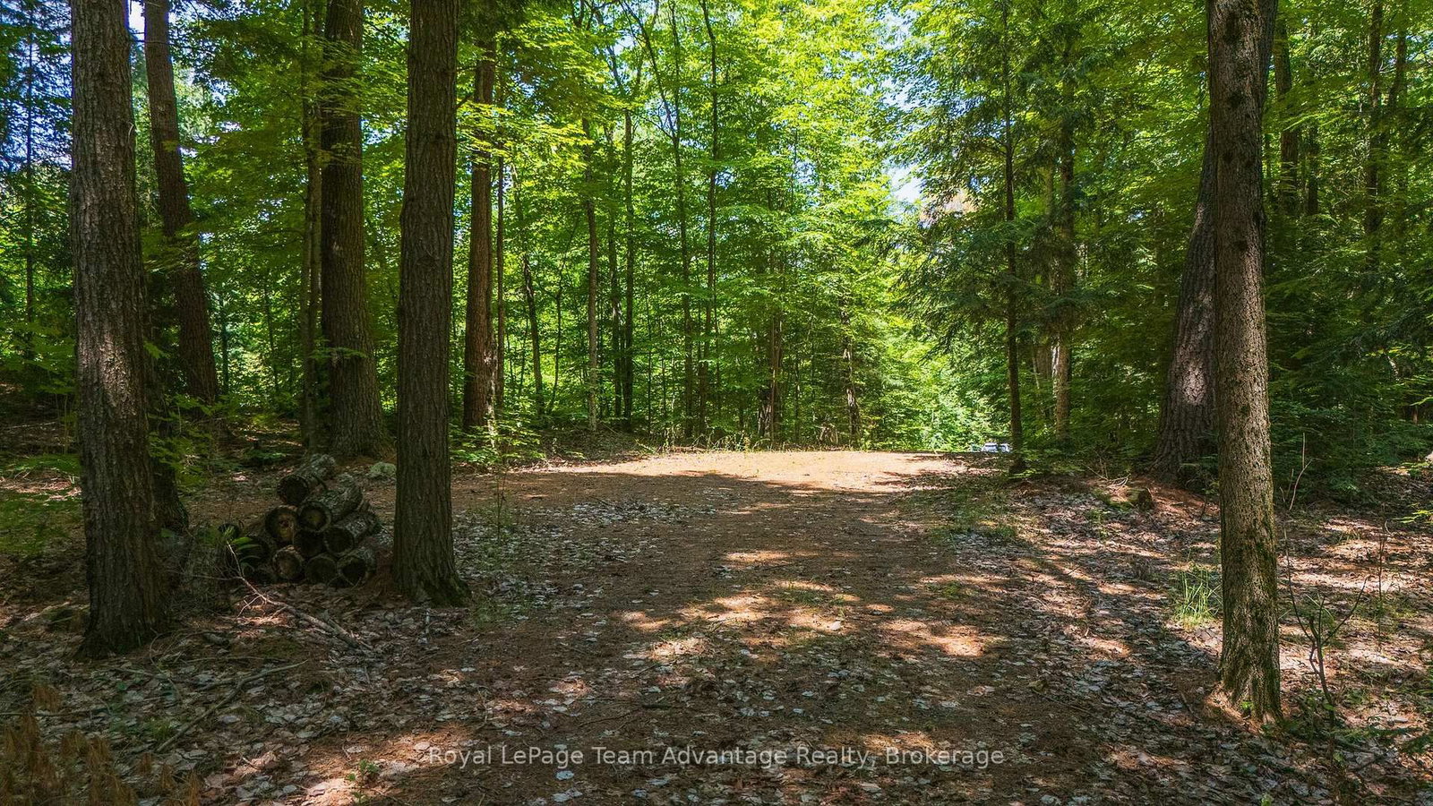 81 Amorak Trail • Whitestone, ON photo 12