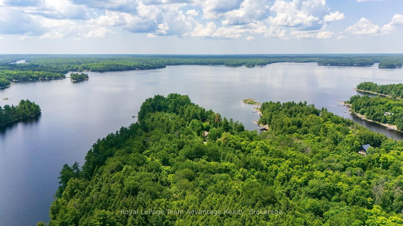81 Amorak Trail