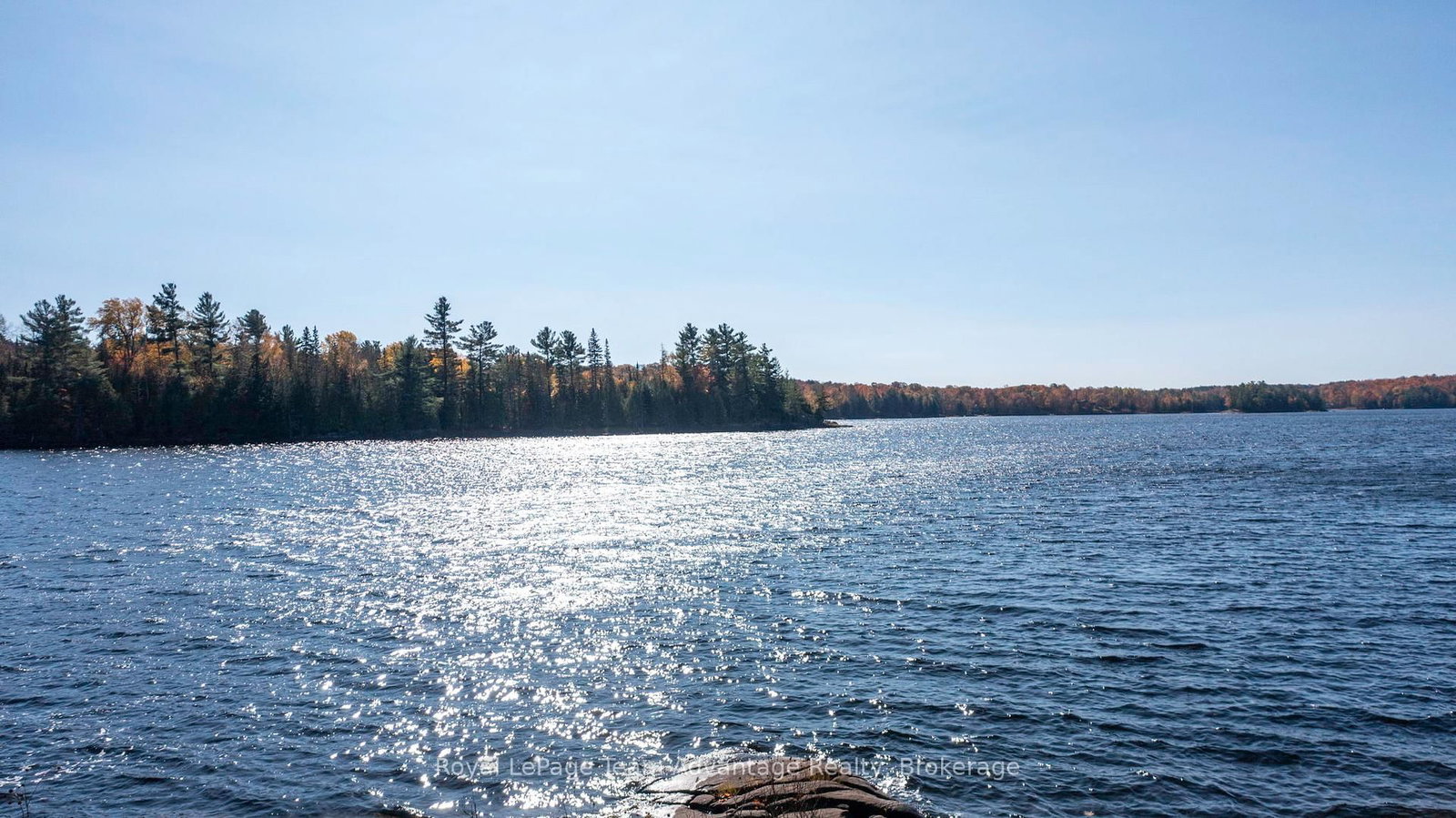 81 Amorak Trail • Whitestone, ON photo 22