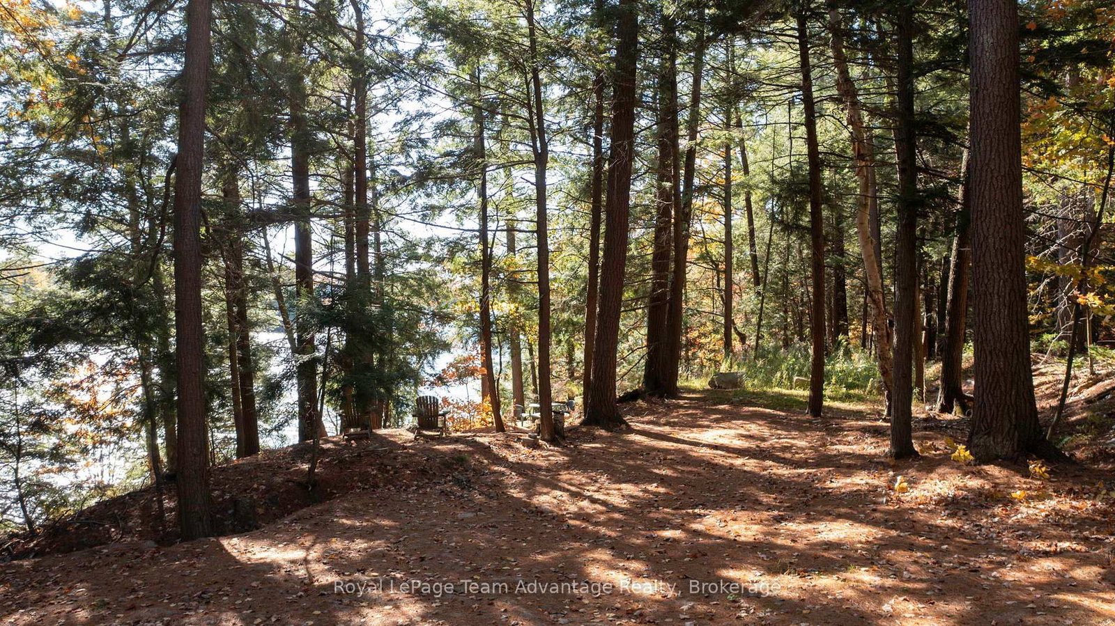 81 Amorak Trail • Whitestone, ON photo 35