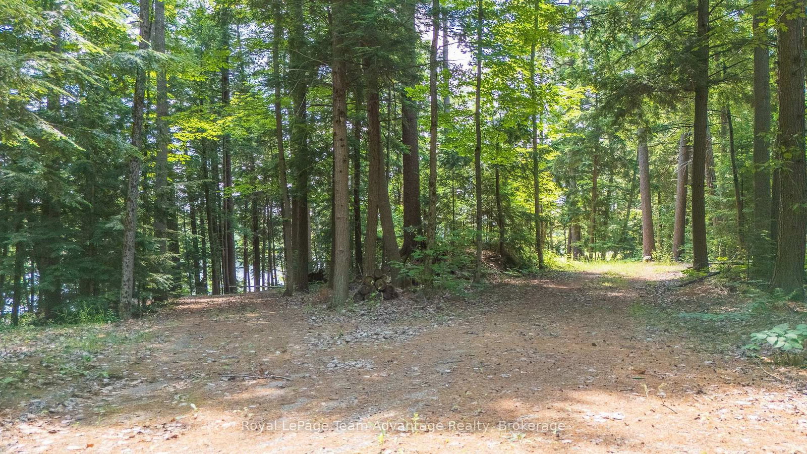 81 Amorak Trail • Whitestone, ON photo 8
