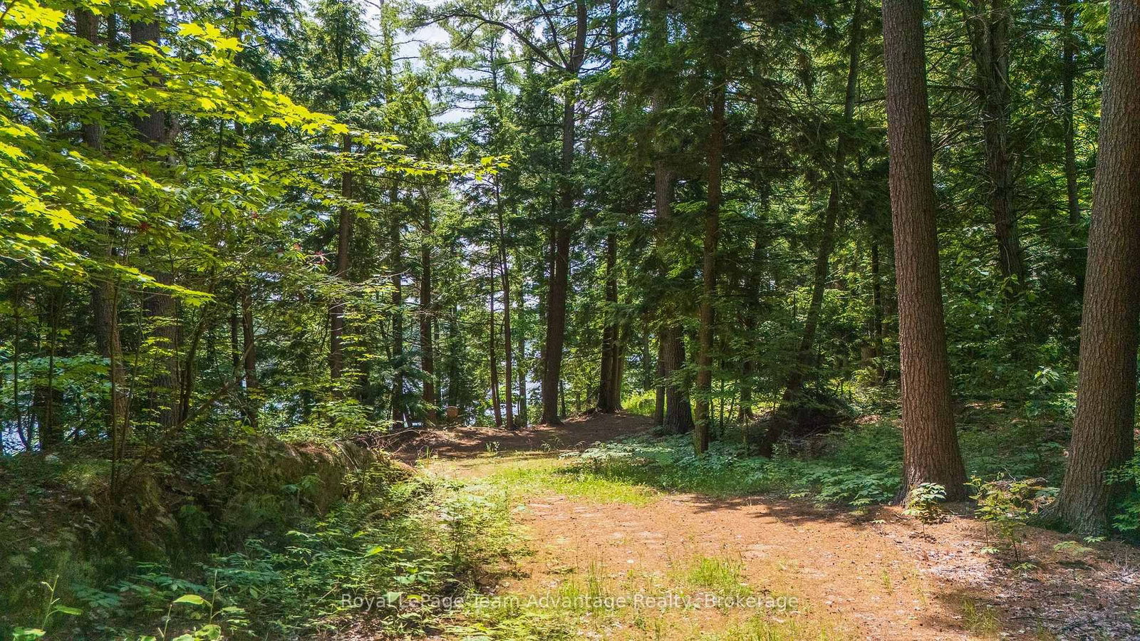 81 Amorak Trail • Whitestone, ON photo 9