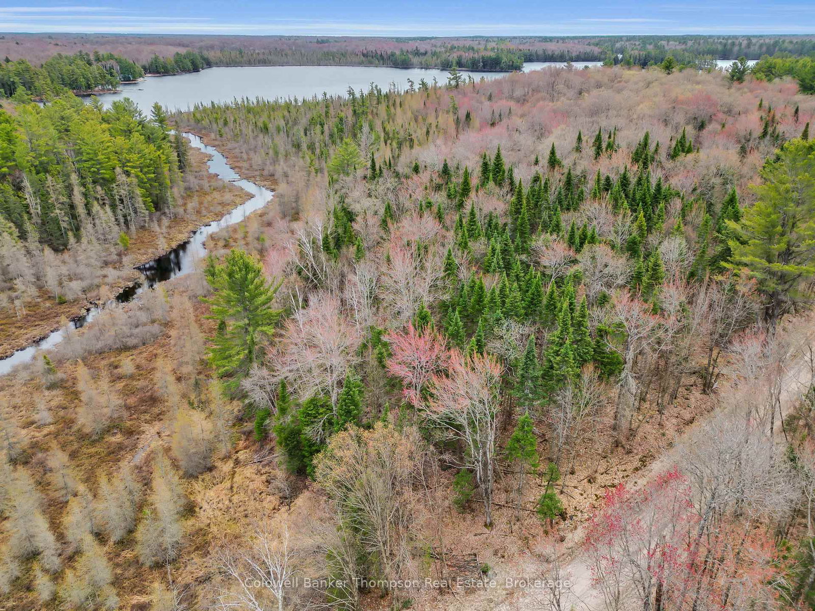 Part 3 AXE LAKE Road • McMurrich/Monteith, ON photo 10