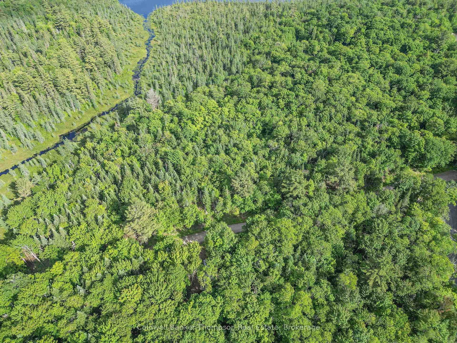 Part 3 AXE LAKE Road • McMurrich/Monteith, ON photo 2