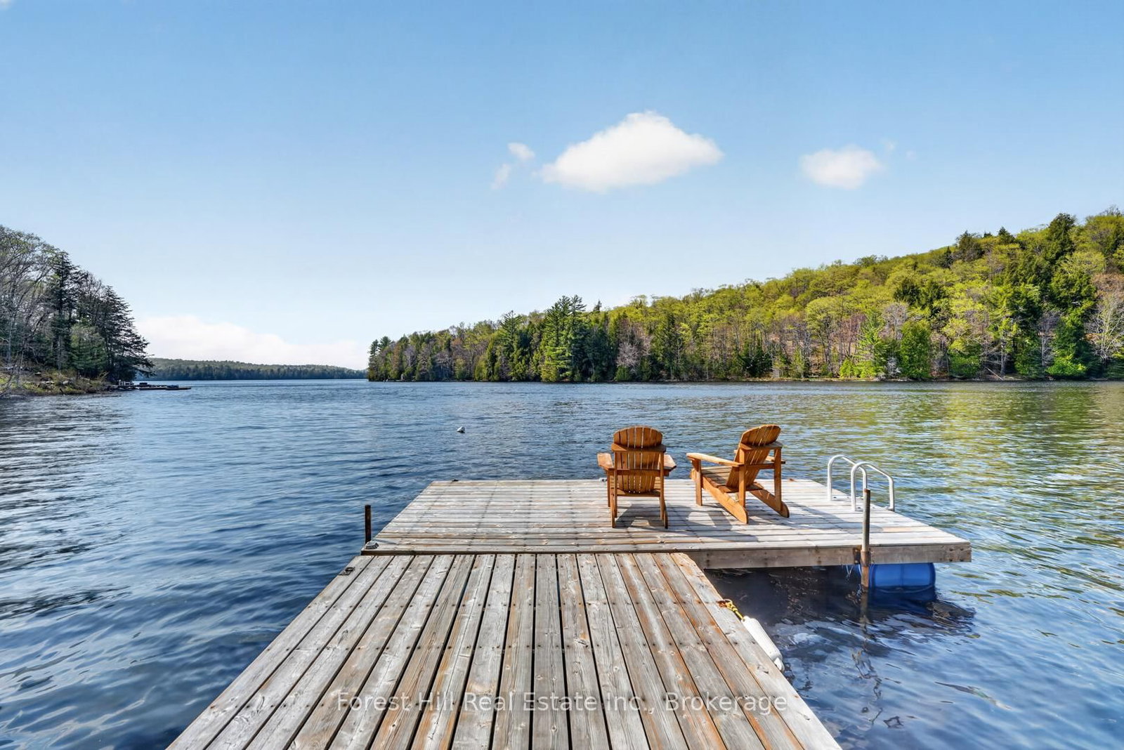 3611 Livingstone Lake Road • Algonquin Highlands, ON photo 39