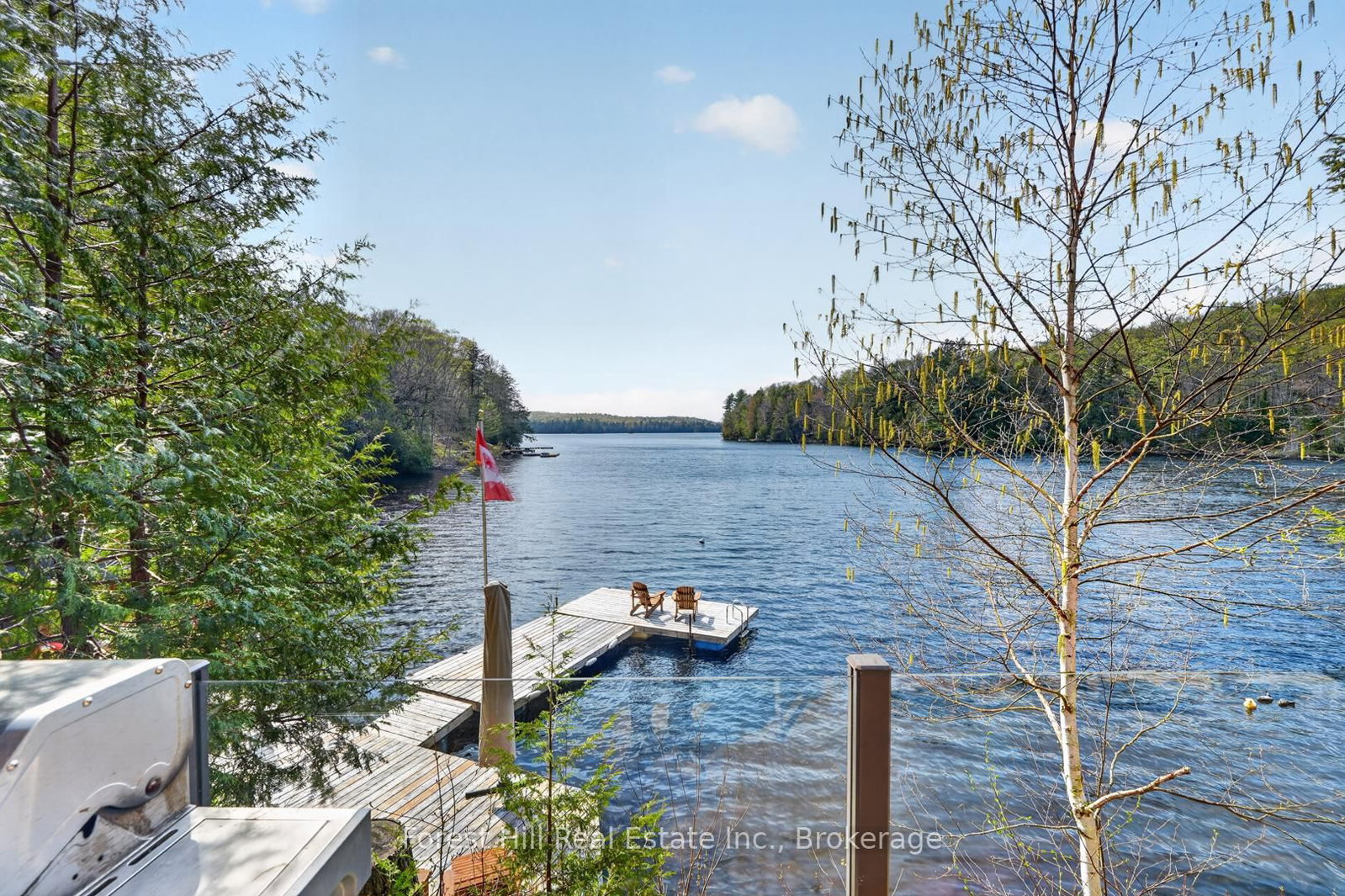 3611 Livingstone Lake Road • Algonquin Highlands, ON photo 44