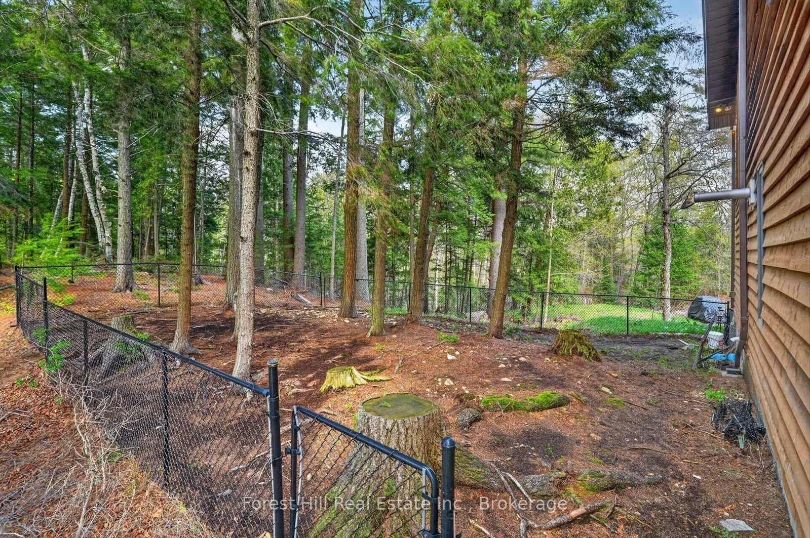 3611 Livingstone Lake Road • Algonquin Highlands, ON photo 45