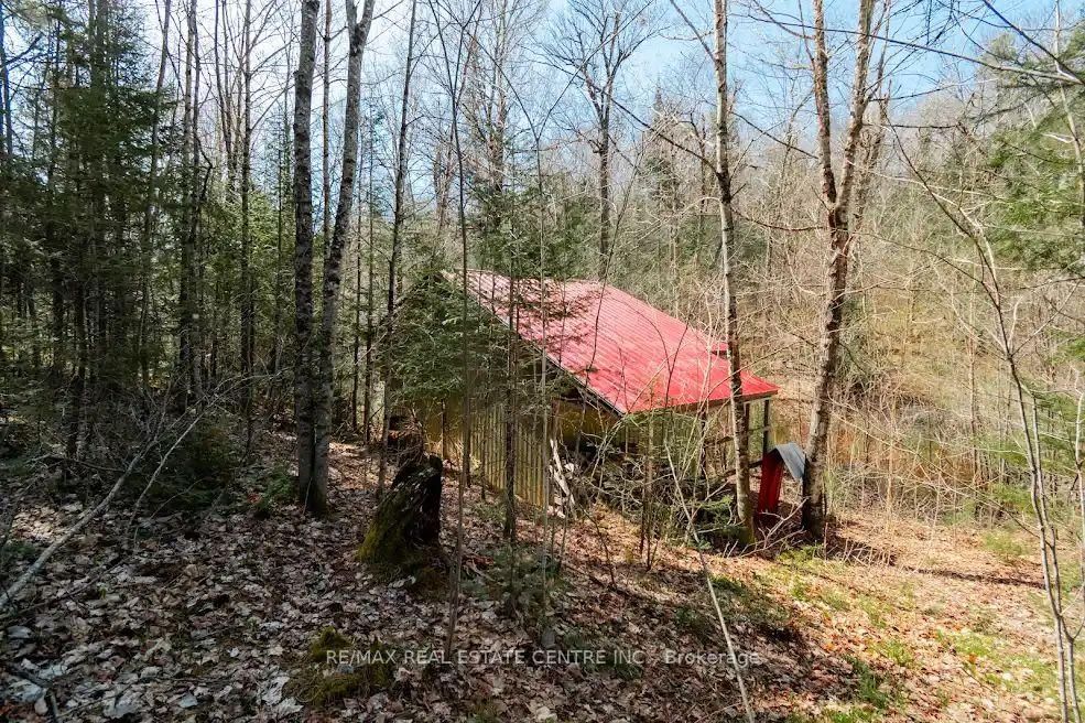 34 Laurentian Crescent • Mattawan, ON photo 3