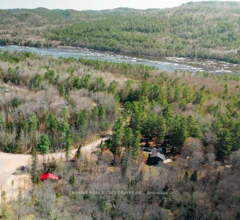 34 Laurentian Crescent • Mattawan, ON photo 6
