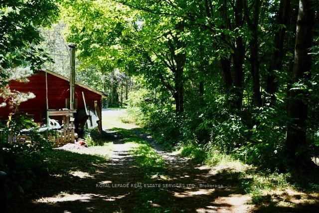 1116 Moon River Road • Muskoka Lakes, ON photo 4