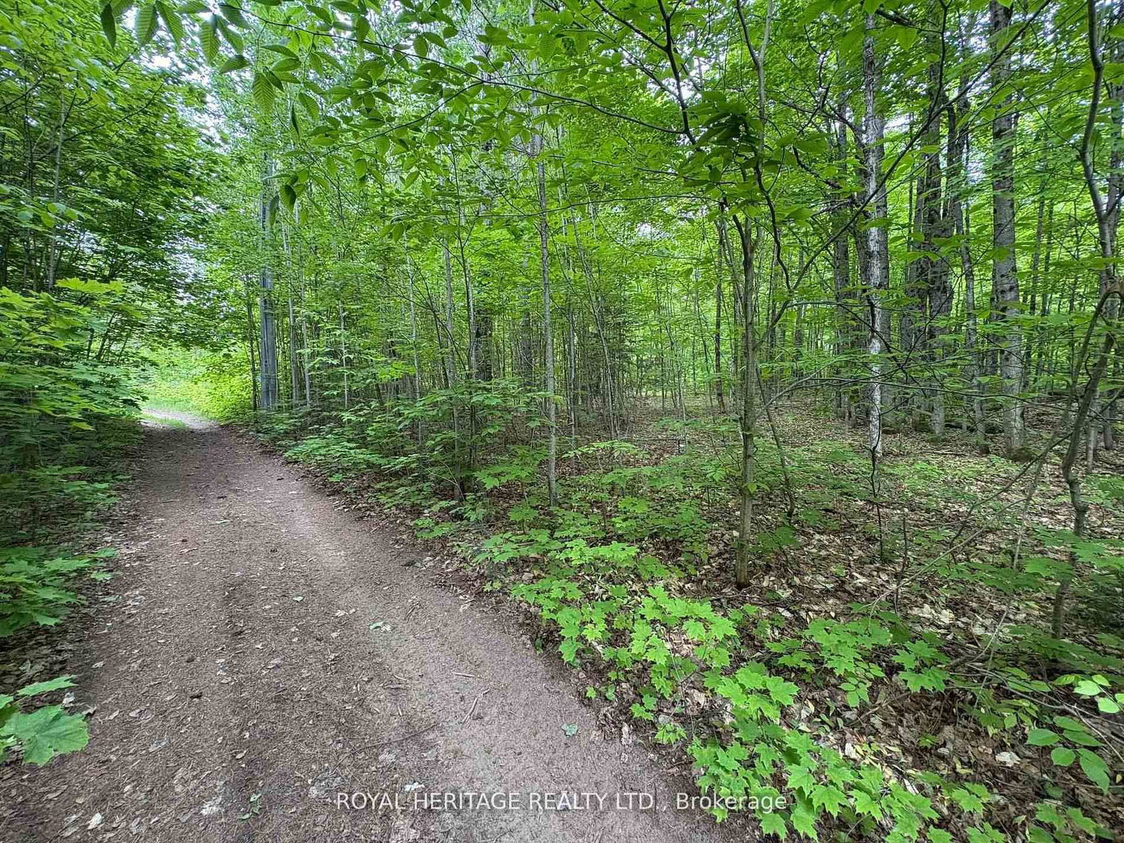 Building at 1043 Lawrence Pit Road, Muskoka Lakes, P0B 1M0 - Watt