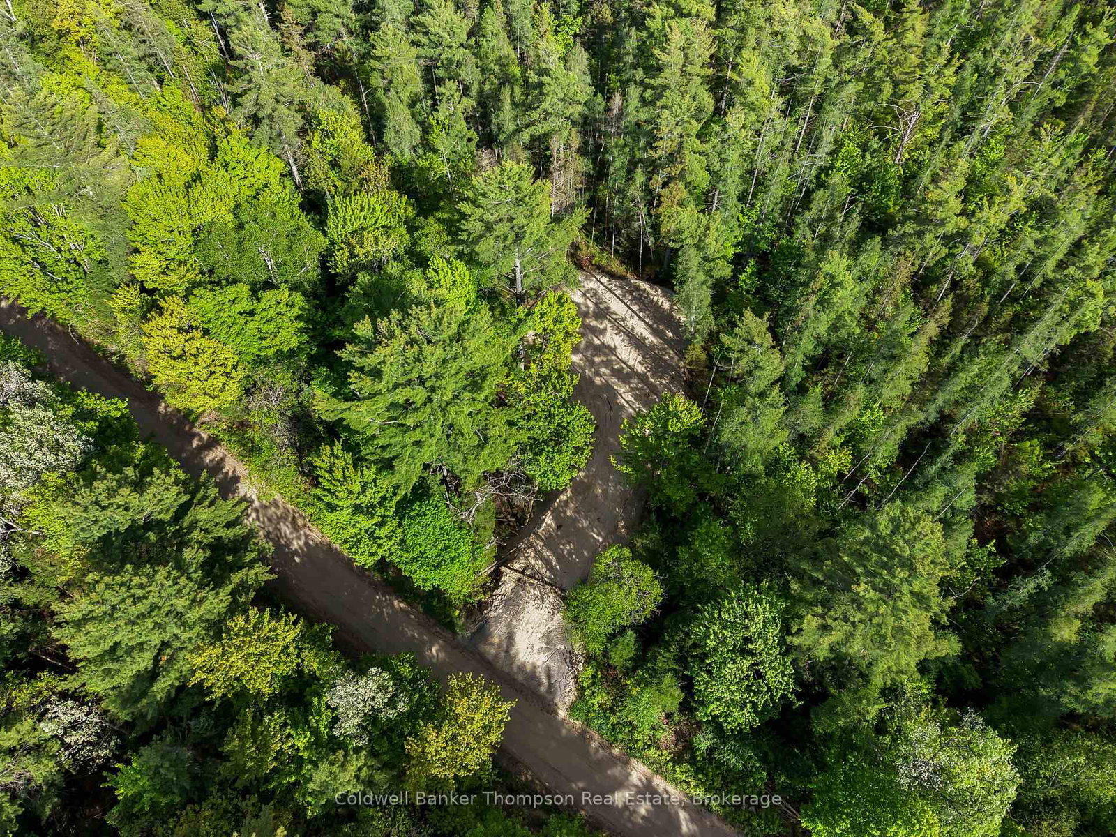 PART 6 AXE LAKE Road • McMurrich/Monteith, ON photo 10