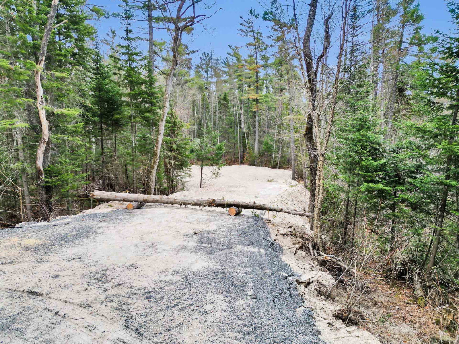 PART 6 AXE LAKE Road • McMurrich/Monteith, ON photo 12